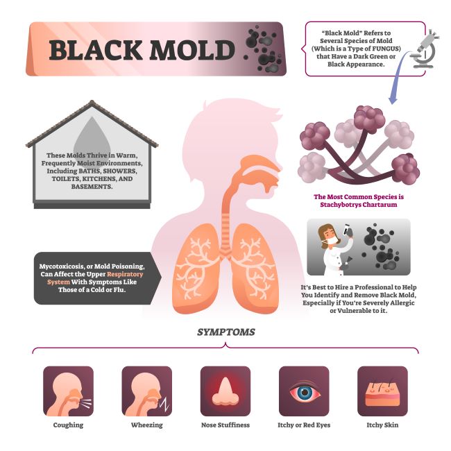 Black mold graphic